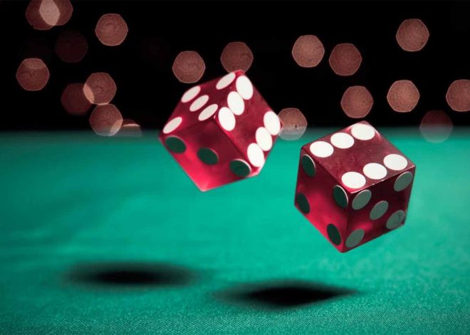Why Gambling Appeals to the Human Mind